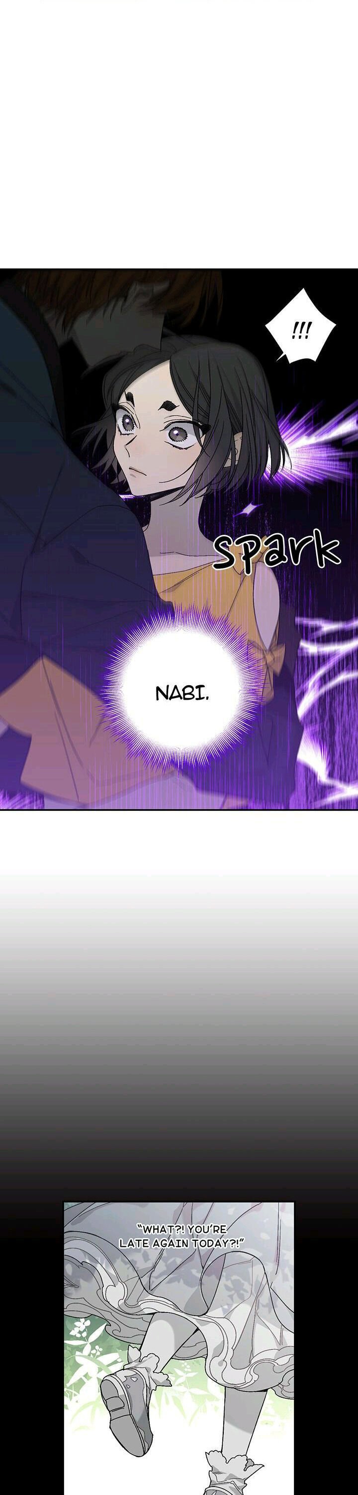 Page 8 of Chapter 25