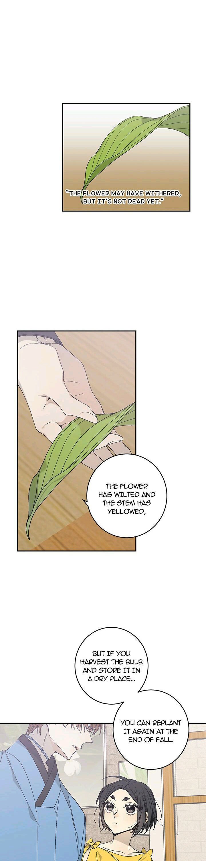 Page 17 of Chapter 25