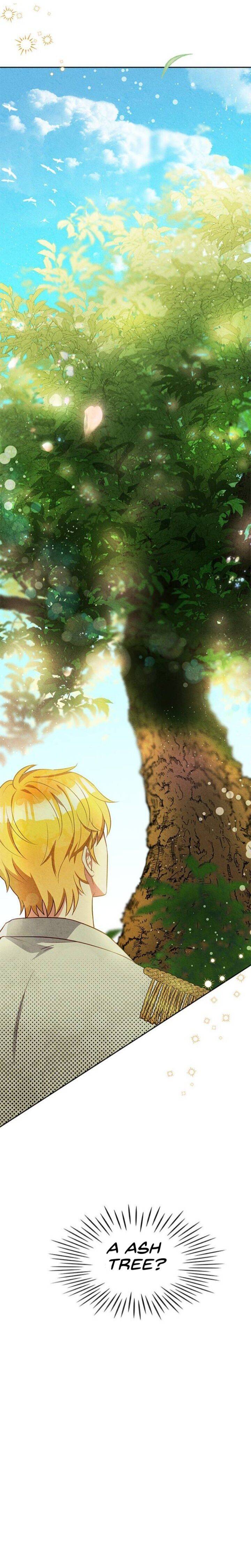 Page 4 of Chapter 11