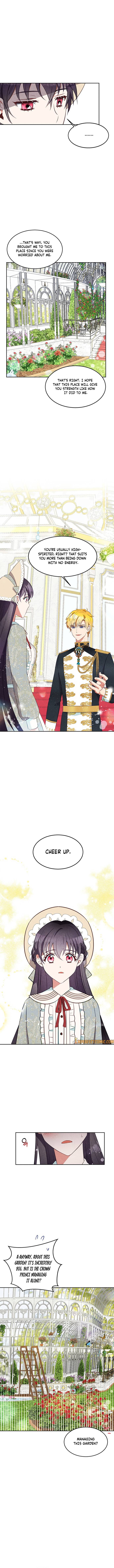 Page 4 of Chapter 17