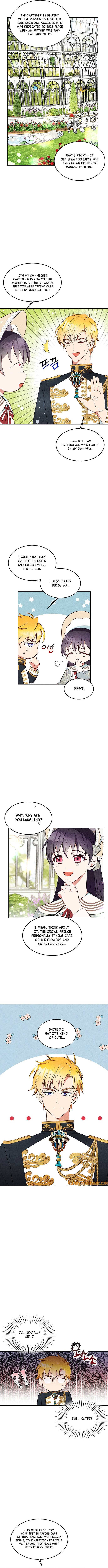 Page 5 of Chapter 17