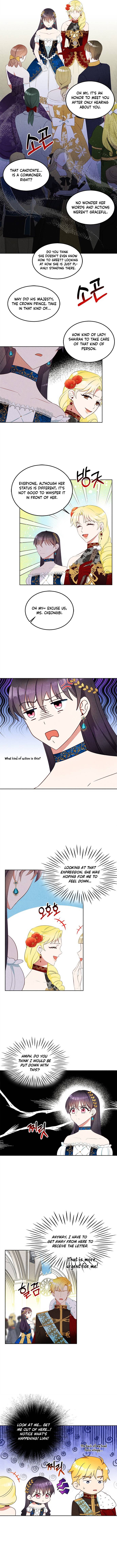 Page 5 of Chapter 41