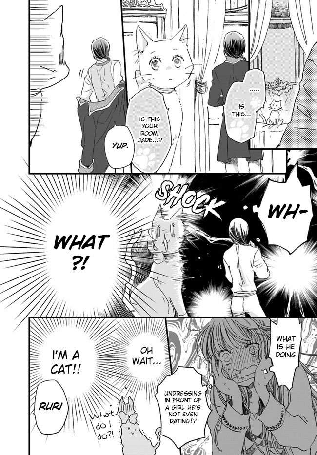 Page 3 of Chapter 10.3