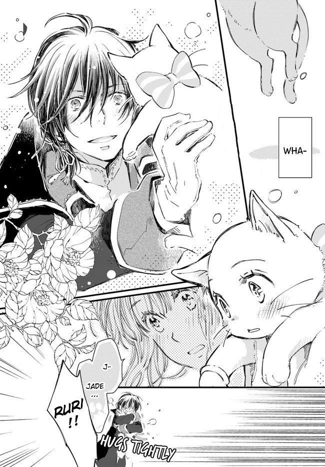 Page 11 of Chapter 14