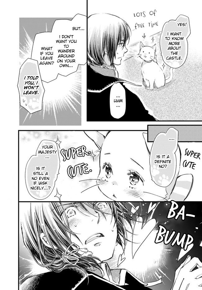 Page 19 of Chapter 14