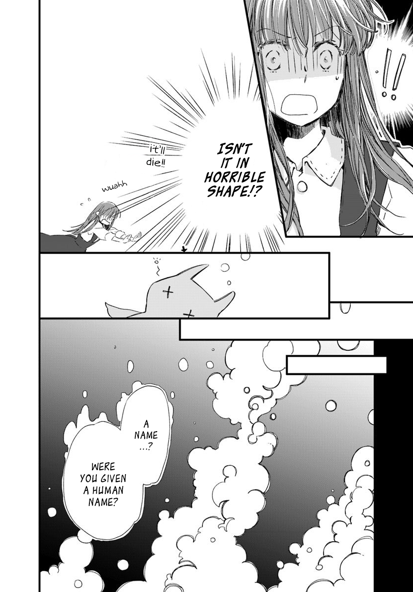 Page 2 of Chapter 15.2