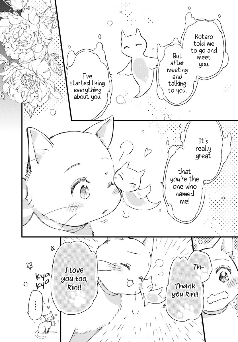 Page 3 of Chapter 15.4
