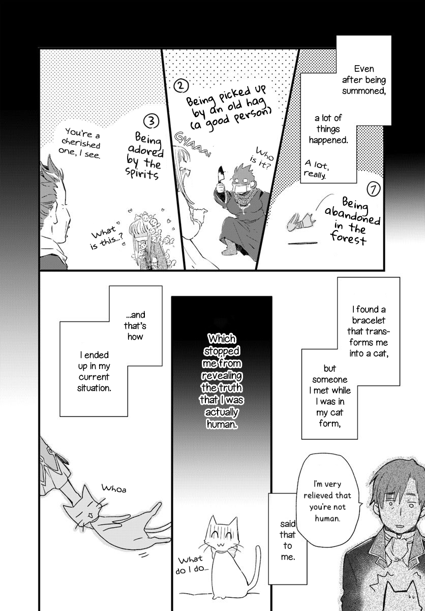 Page 4 of Chapter 17