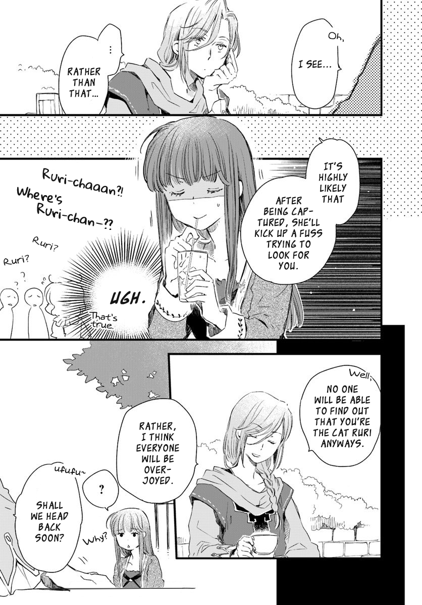 Page 23 of Chapter 17