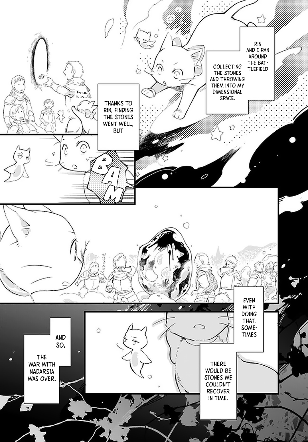 Page 13 of Chapter 19