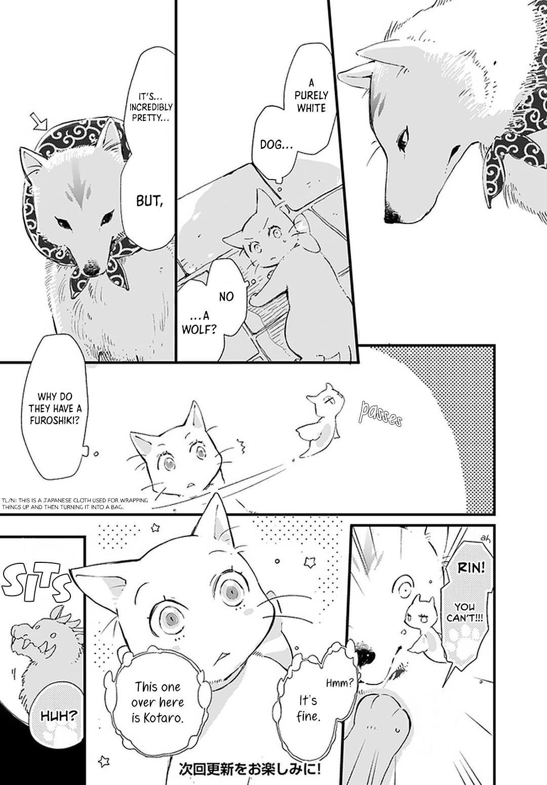 Page 17 of Chapter 19
