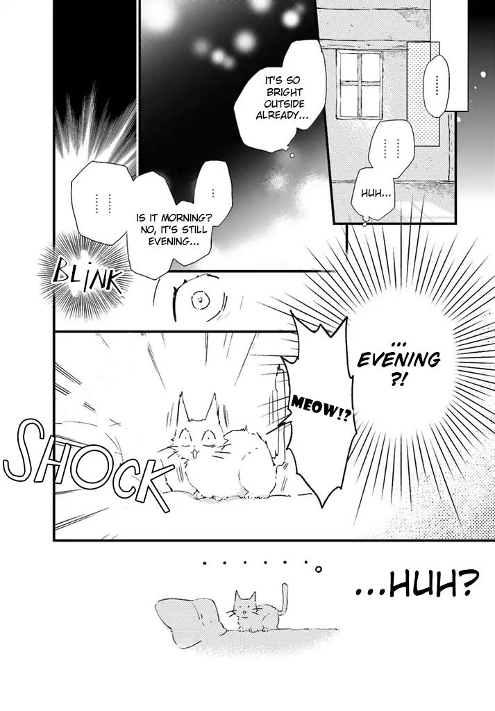 Page 4 of Chapter 5.3