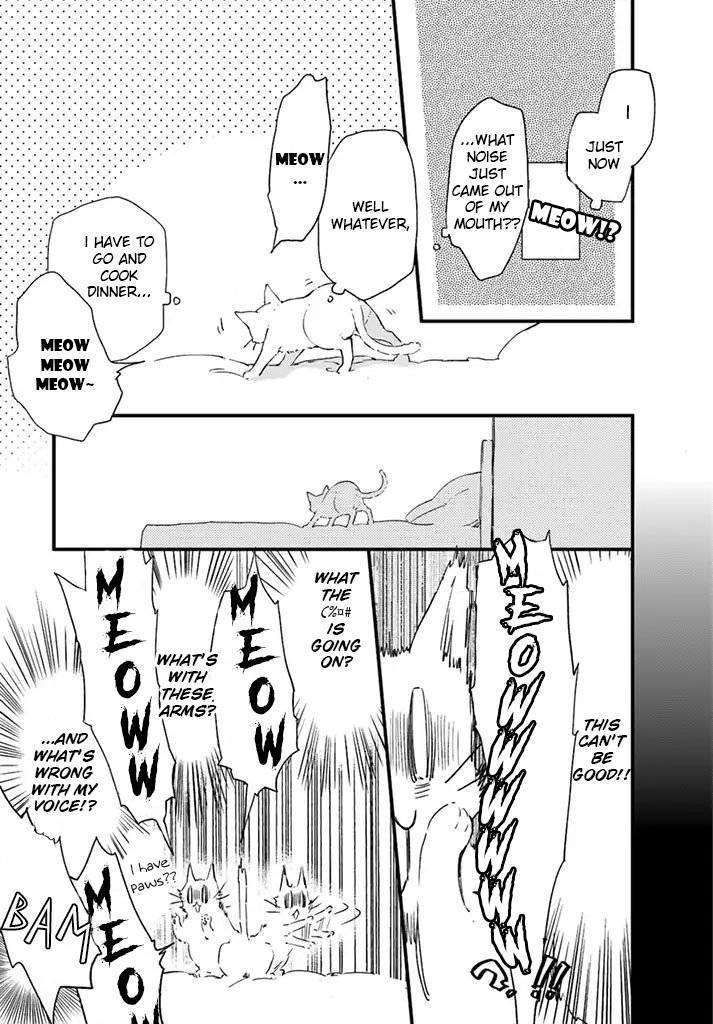 Page 5 of Chapter 5.3