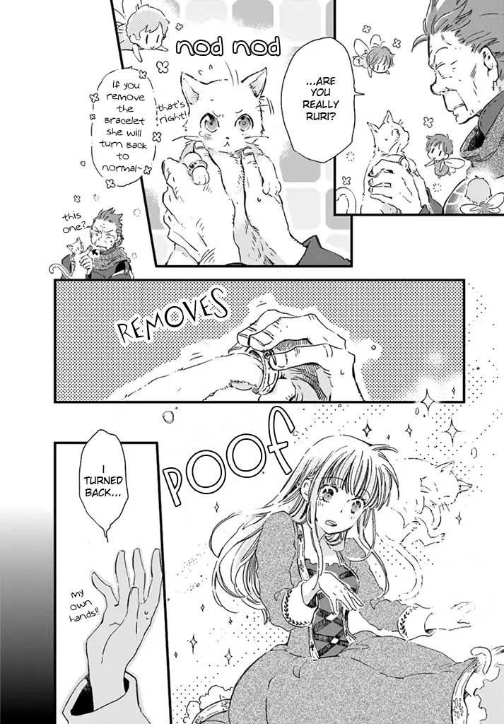 Page 8 of Chapter 5.3