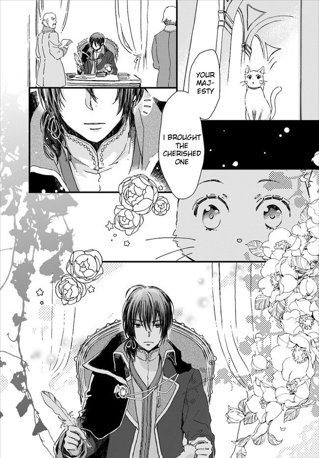 Page 8 of Chapter 7.4
