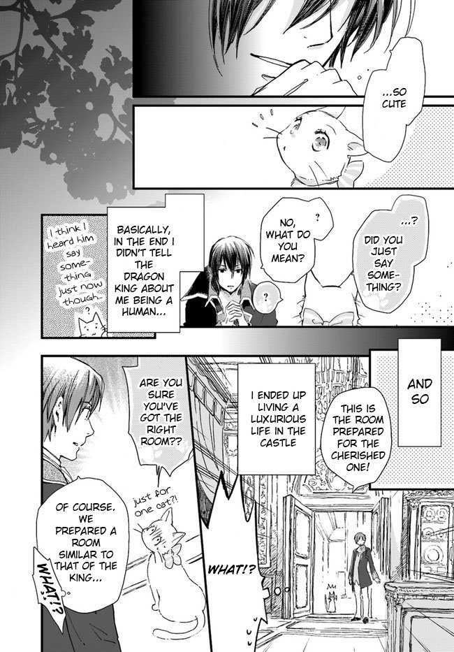 Page 4 of Chapter 8.2