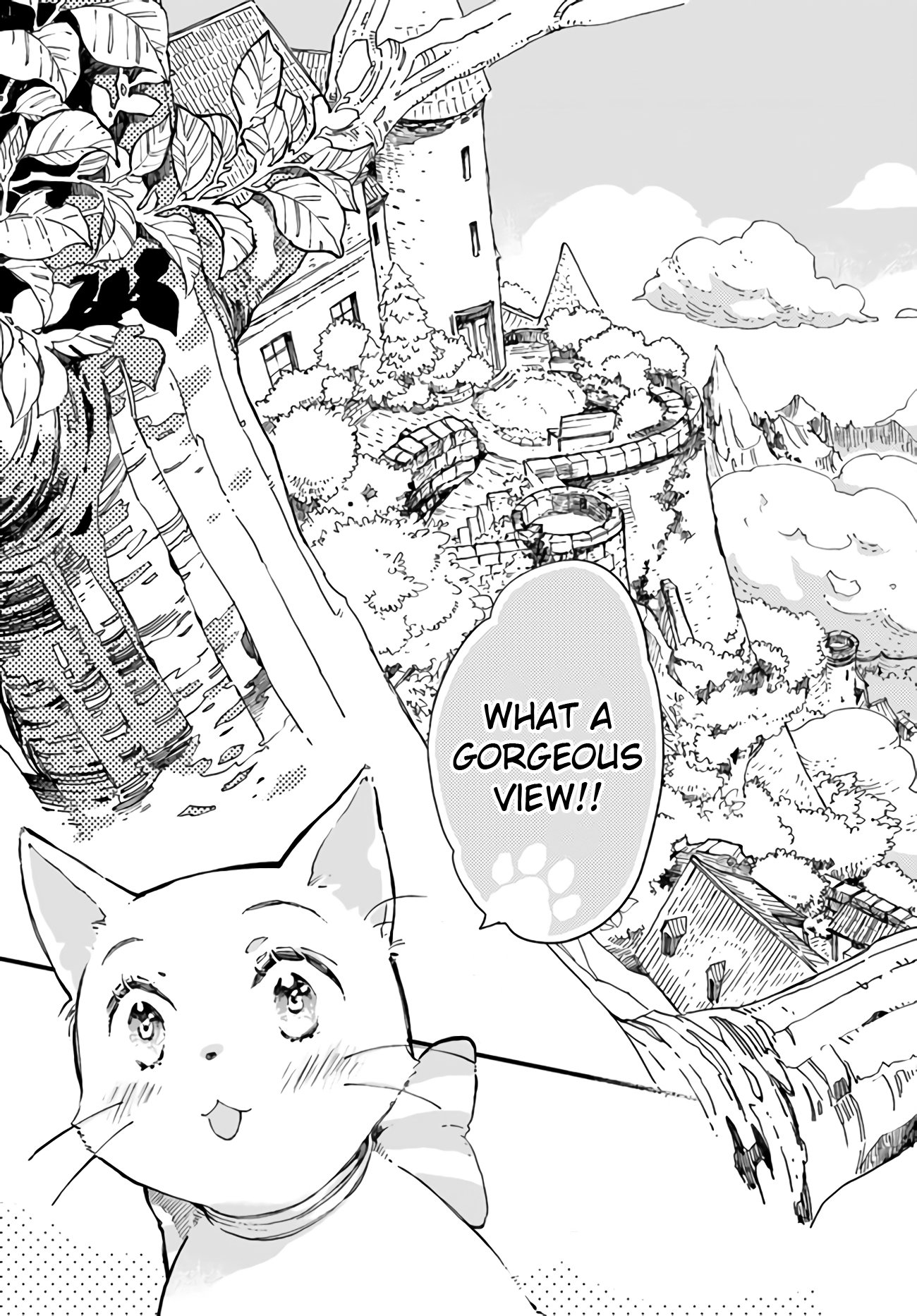 Page 4 of Chapter 9.4