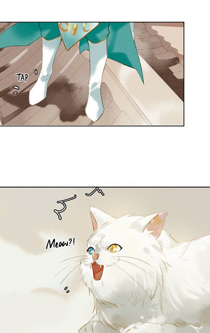 Page 22 of Chapter 13