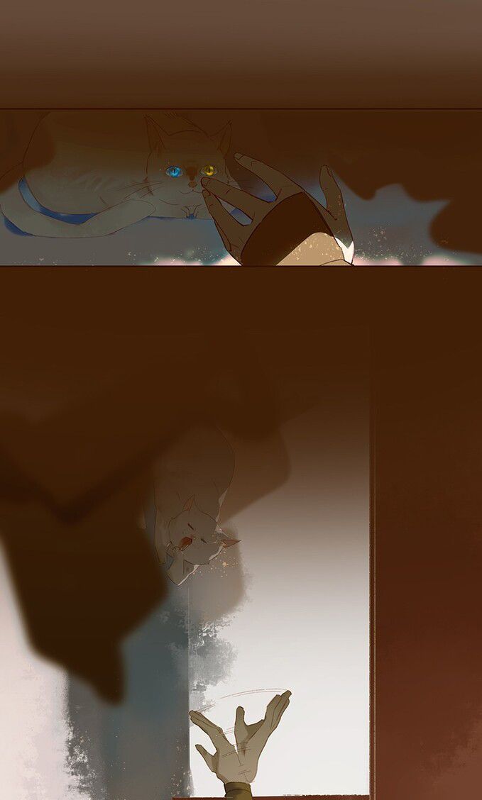 Page 12 of Chapter 14