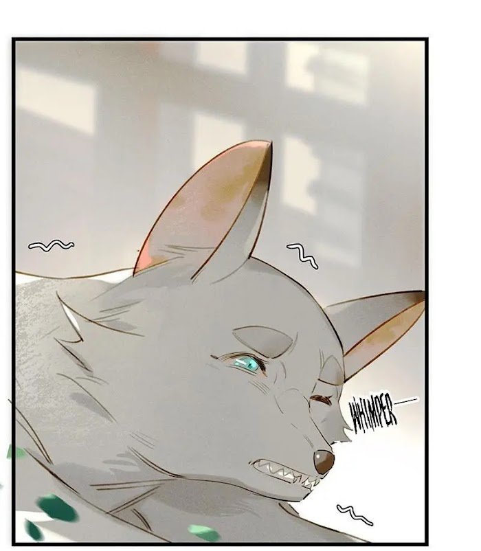 Page 6 of Chapter 41