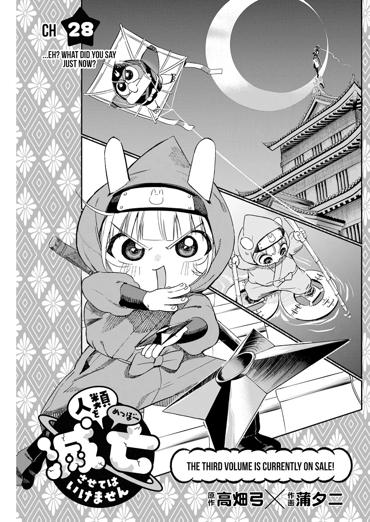 Page 4 of Chapter 28