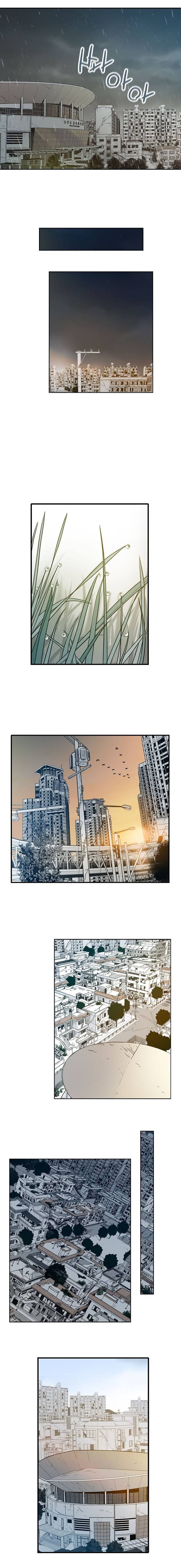 Page 12 of Chapter 17