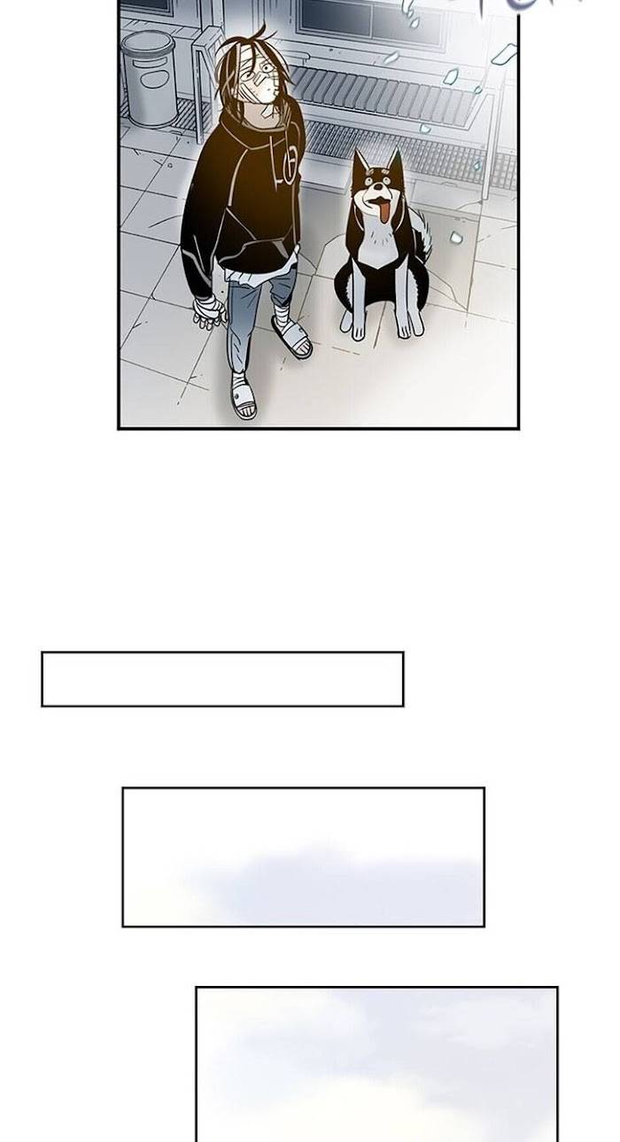 Page 17 of Chapter 39