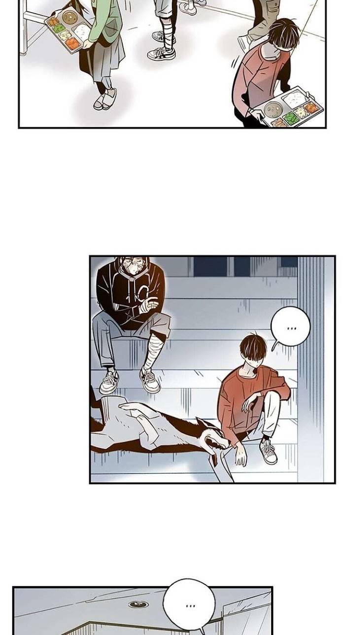 Page 19 of Chapter 39