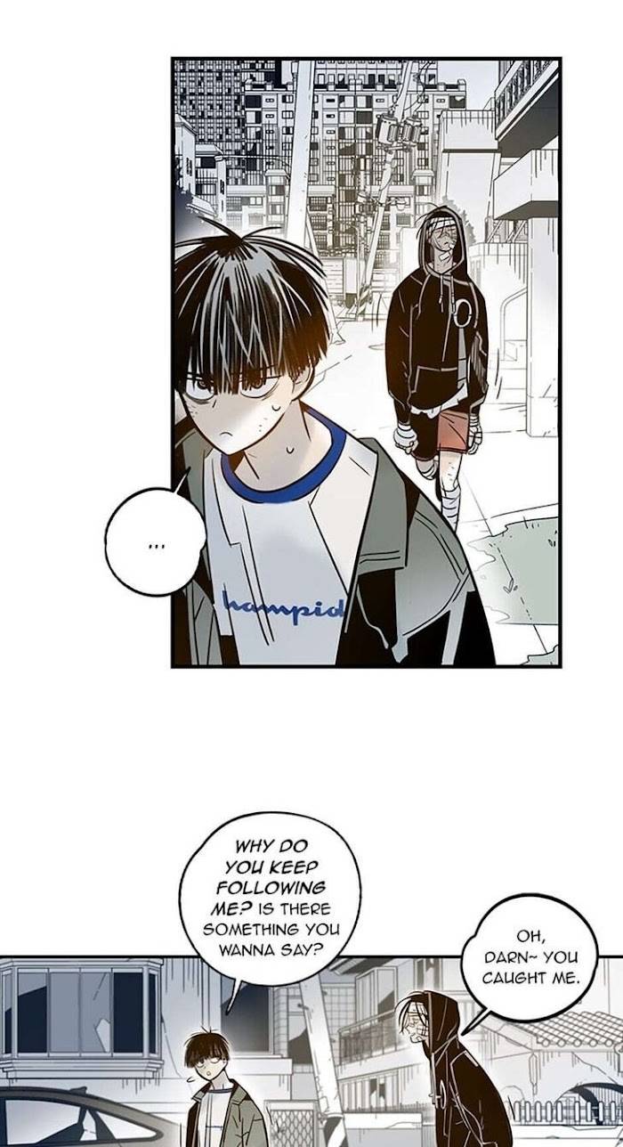 Page 21 of Chapter 39