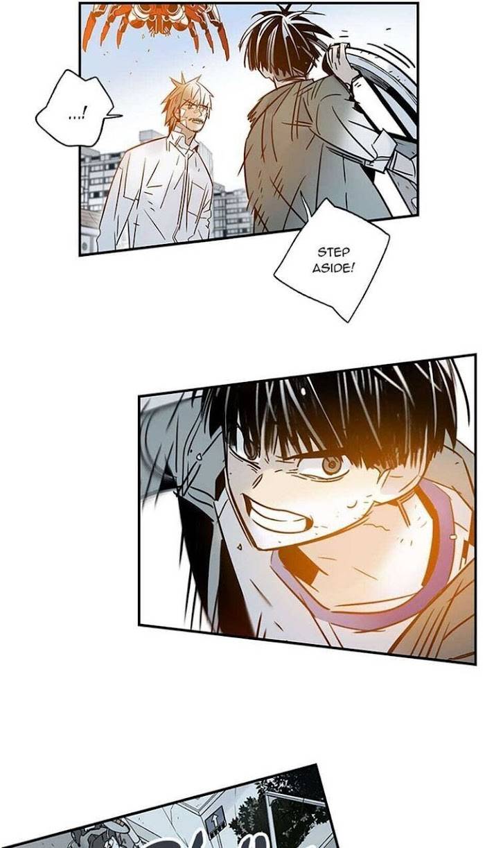 Page 13 of Chapter 41
