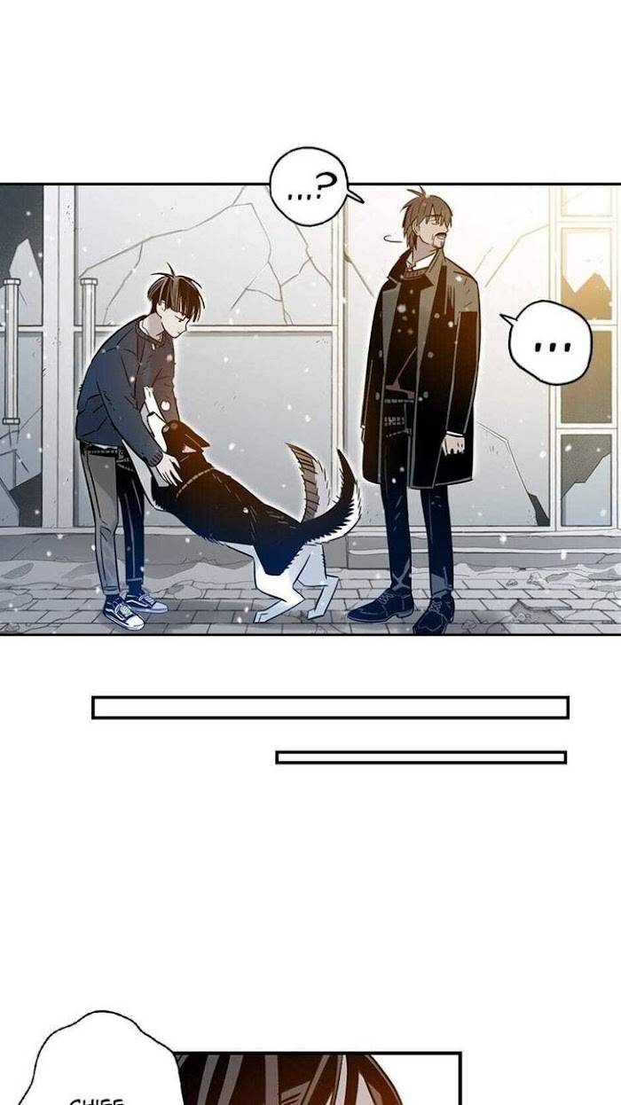 Page 13 of Chapter 53