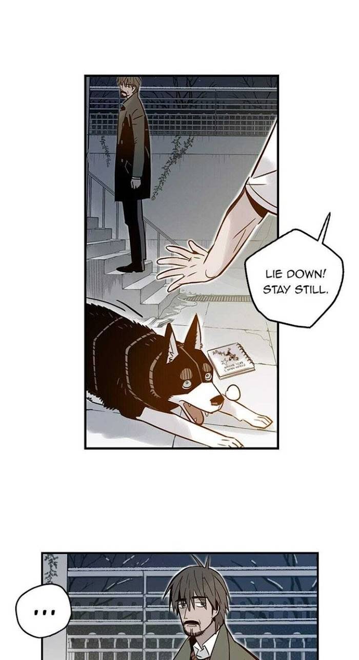 Page 37 of Chapter 53