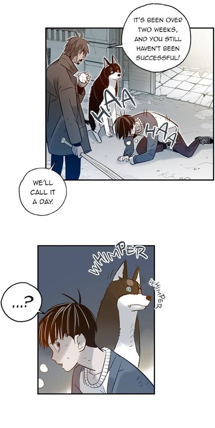 Page 26 of Chapter 54