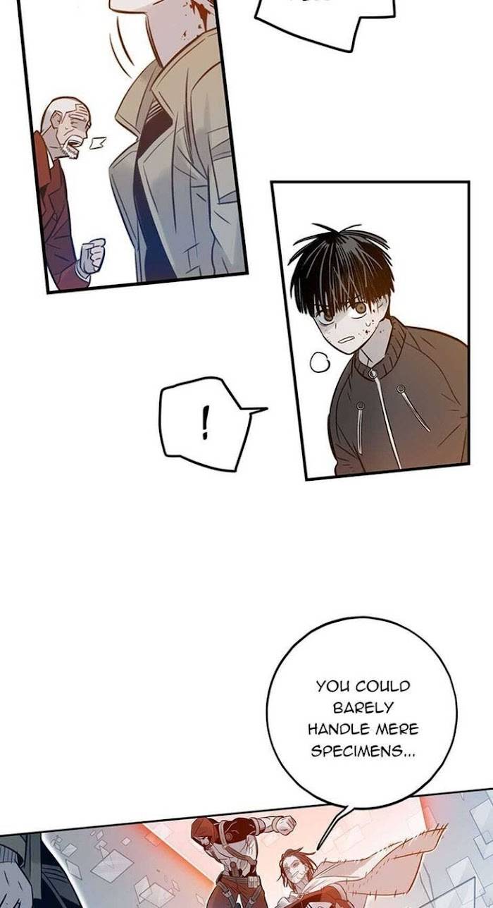 Page 43 of Chapter 61