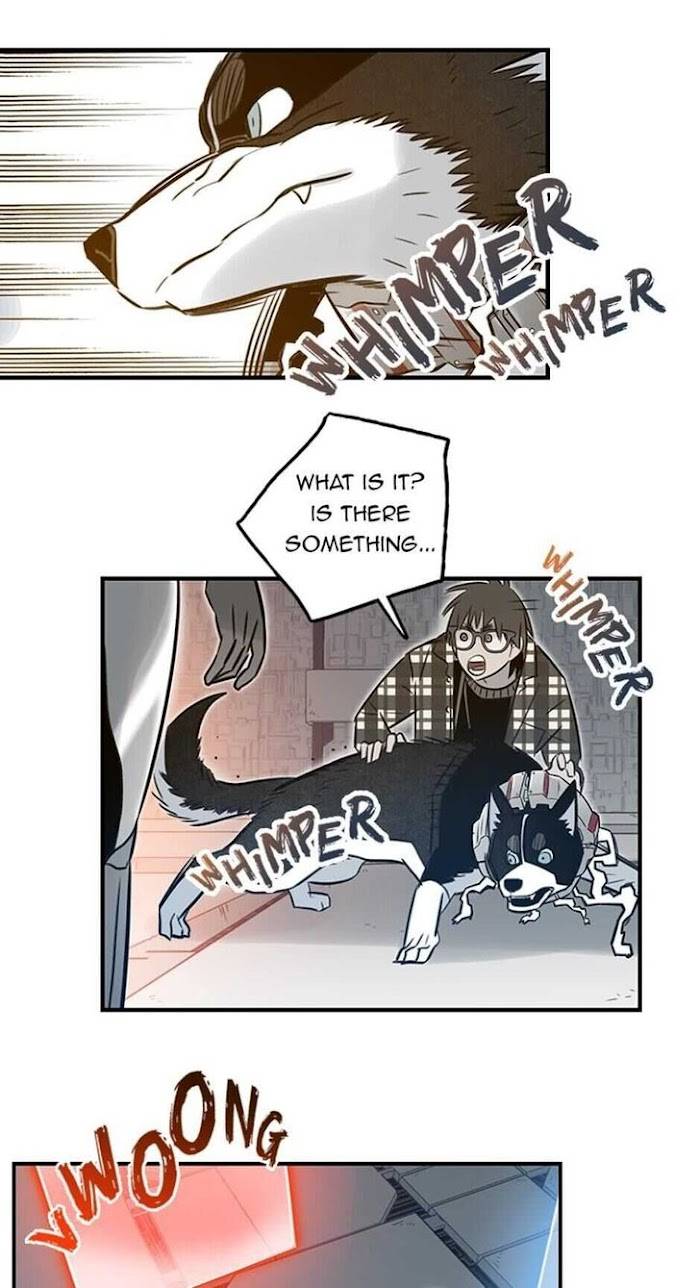 Page 21 of Chapter 70