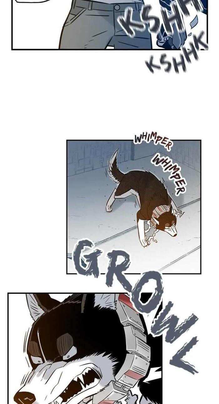 Page 41 of Chapter 71