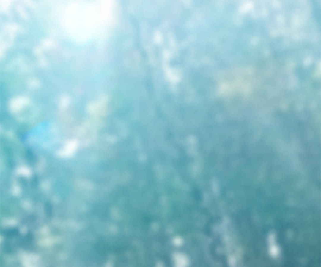 Page 44 of Chapter 119