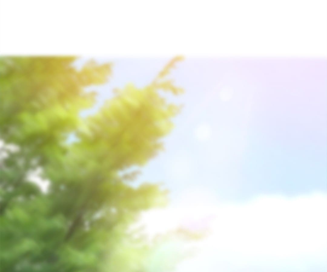 Page 17 of Chapter 124