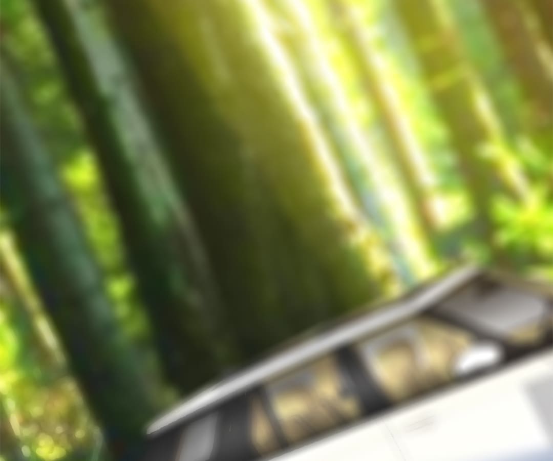 Page 17 of Chapter 163