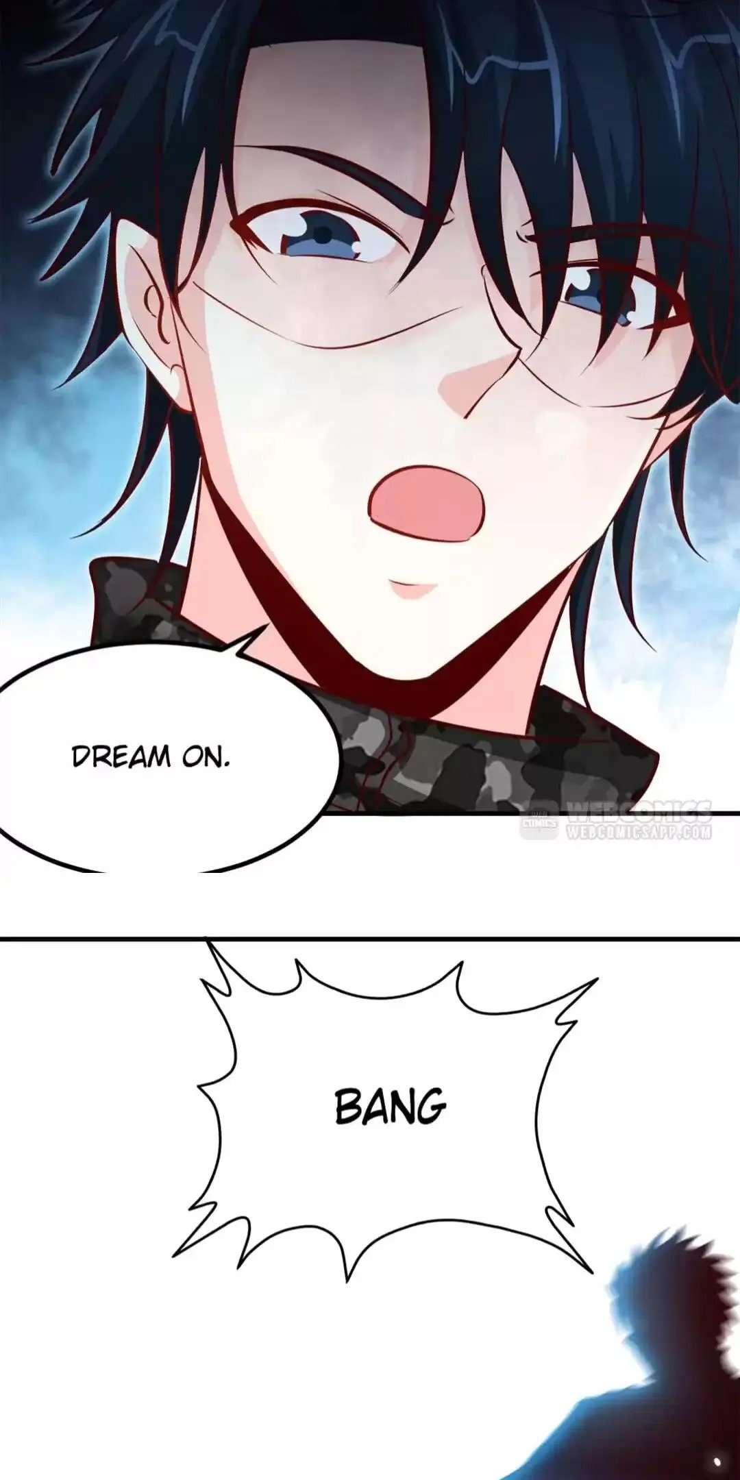 Page 13 of Chapter 251