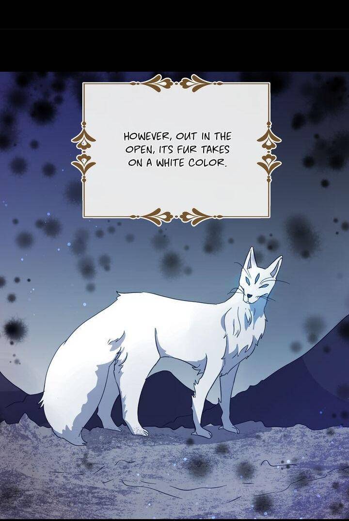 Page 36 of Chapter 24