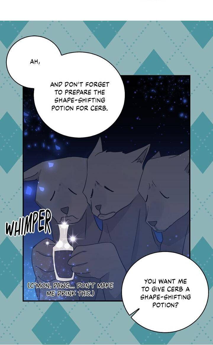 Page 11 of Chapter 25