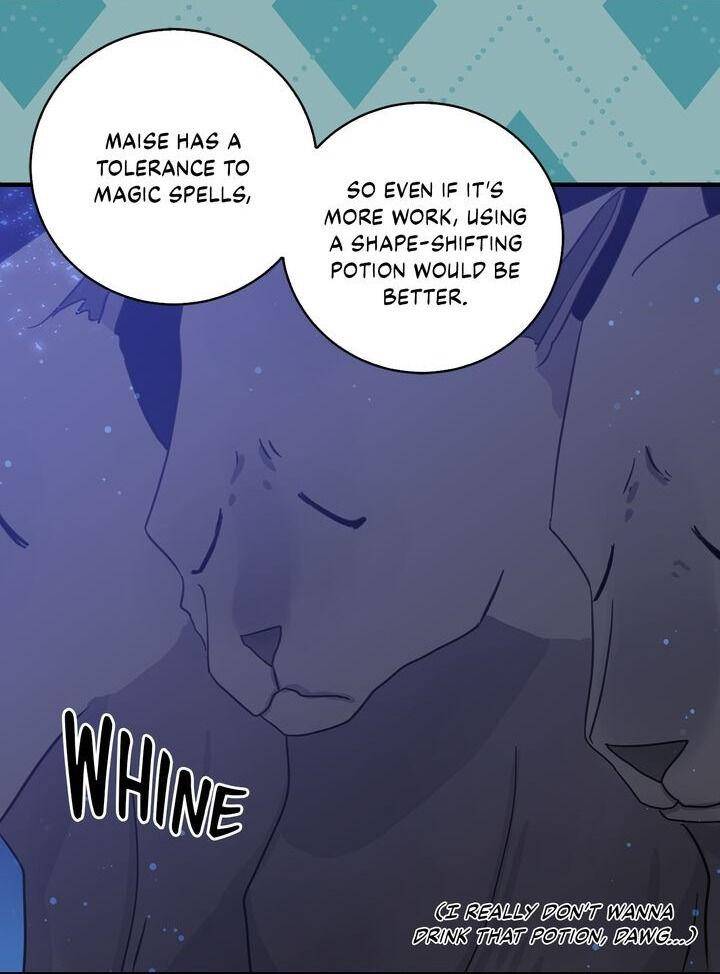 Page 16 of Chapter 25