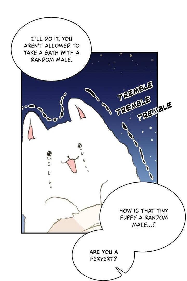 Page 37 of Chapter 40