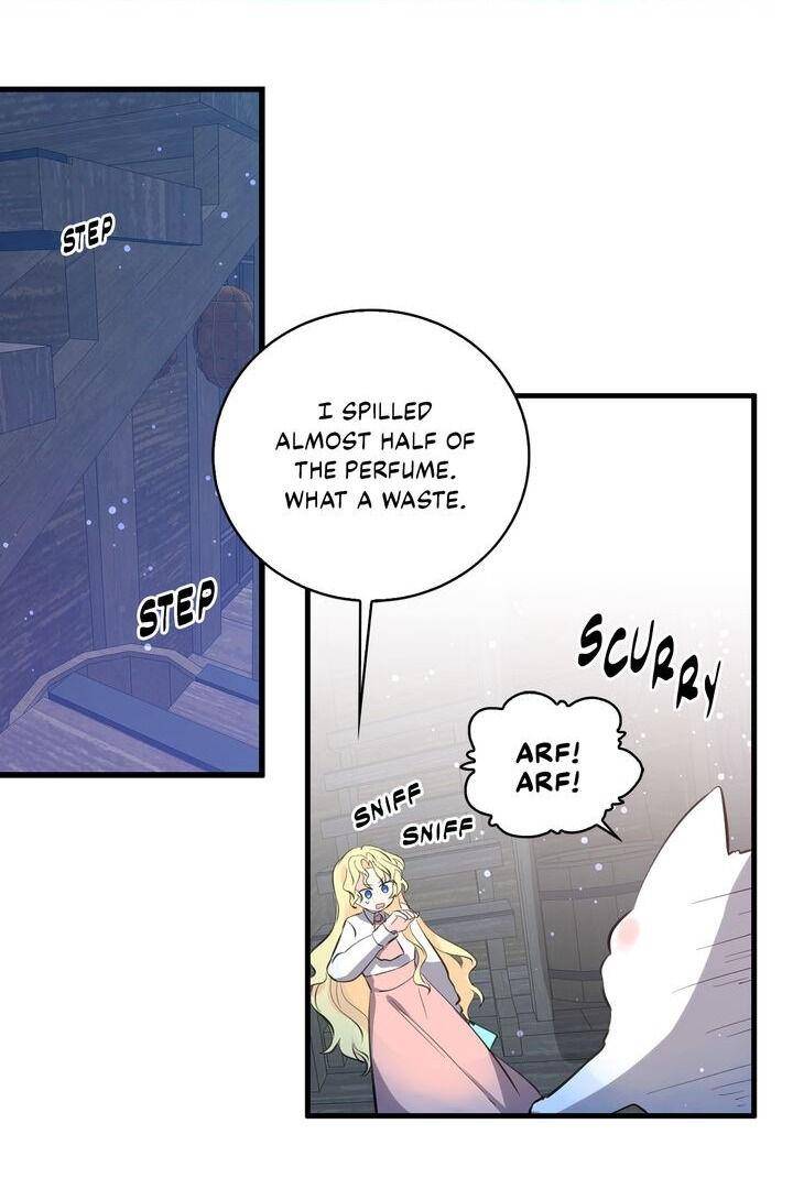 Page 5 of Chapter 41