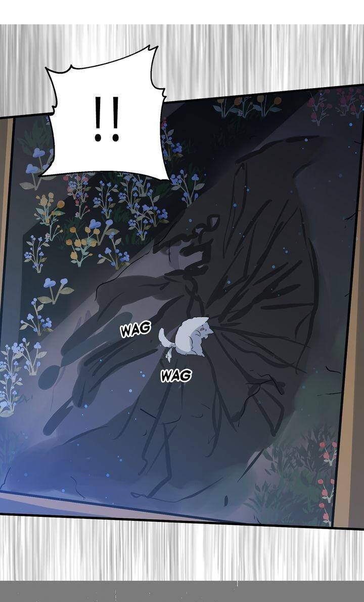 Page 19 of Chapter 41