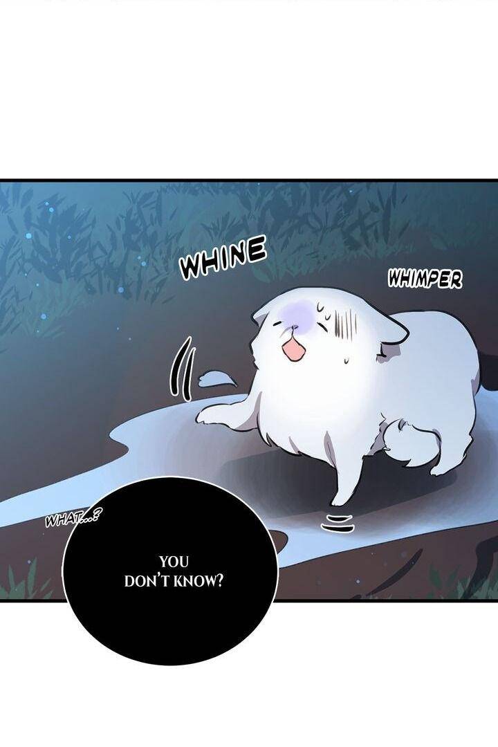 Page 25 of Chapter 41
