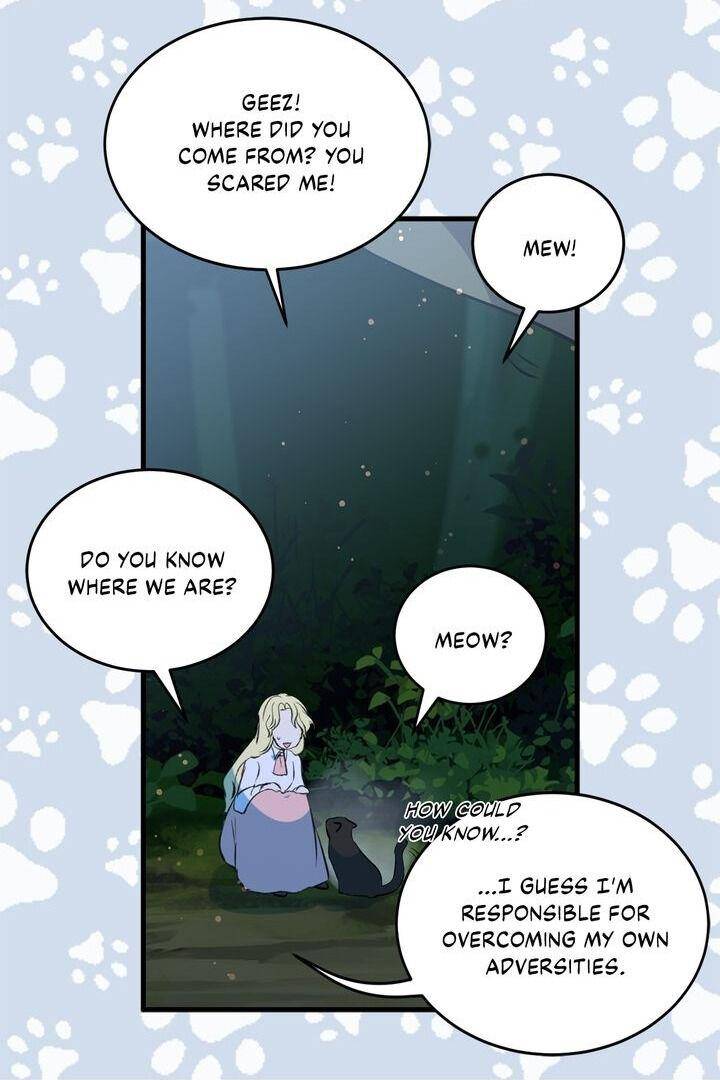 Page 33 of Chapter 41