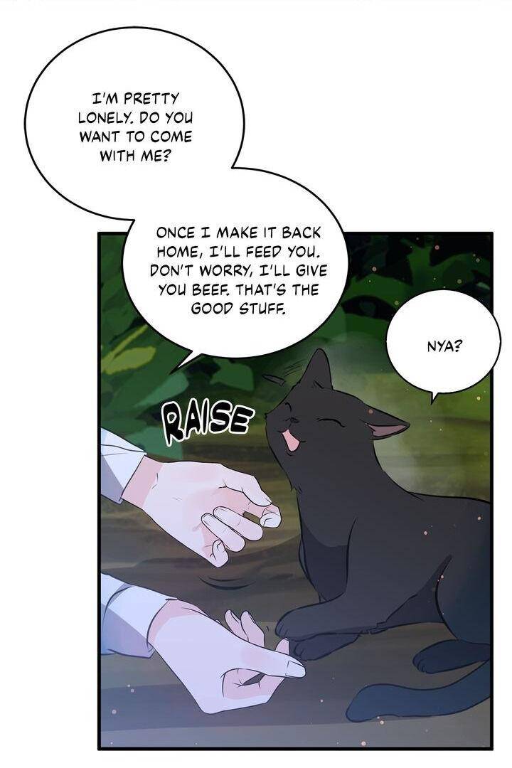 Page 34 of Chapter 41