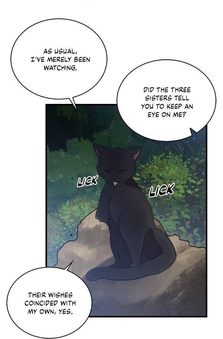 Page 19 of Chapter 42
